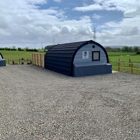 Thistle Pod Farm Stay With Hottub Sleeps 2 Galston  Экстерьер фото