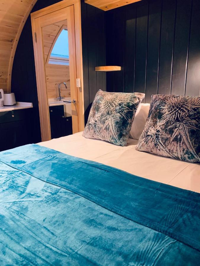 Thistle Pod Farm Stay With Hottub Sleeps 2 Galston  Экстерьер фото