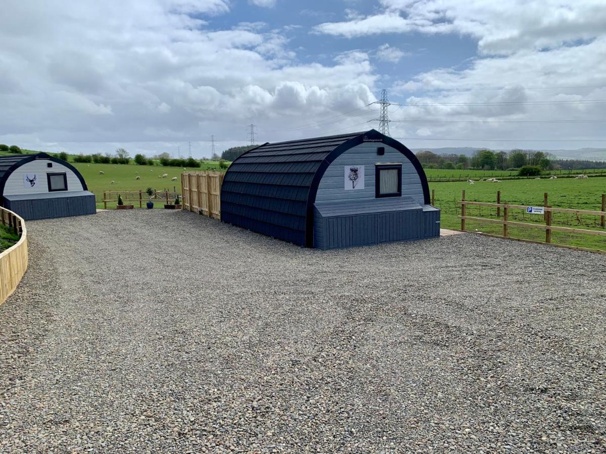 Thistle Pod Farm Stay With Hottub Sleeps 2 Galston  Экстерьер фото